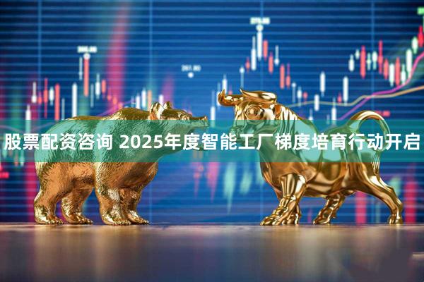 股票配资咨询 2025年度智能工厂梯度培育行动开启